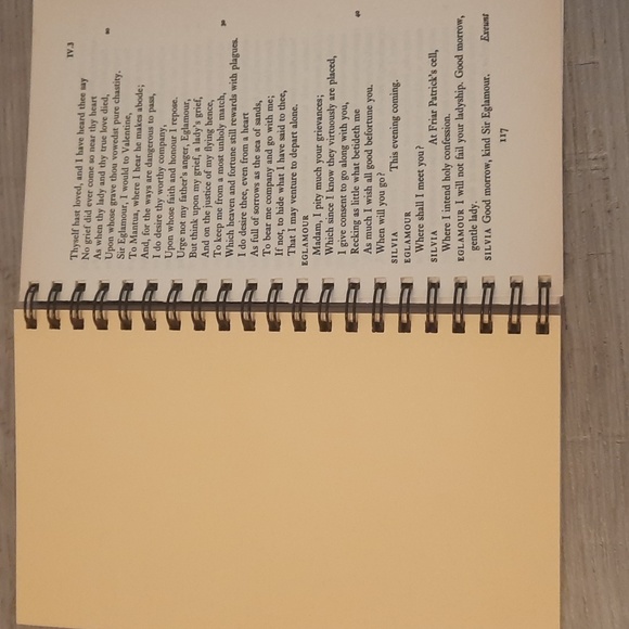 Secret Journal "The two gentlemen of Verona" - Picture 3 of 5